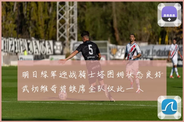 明日绿军迎战骑士塔图姆状态良好武切维奇将缺席全队仅此一人