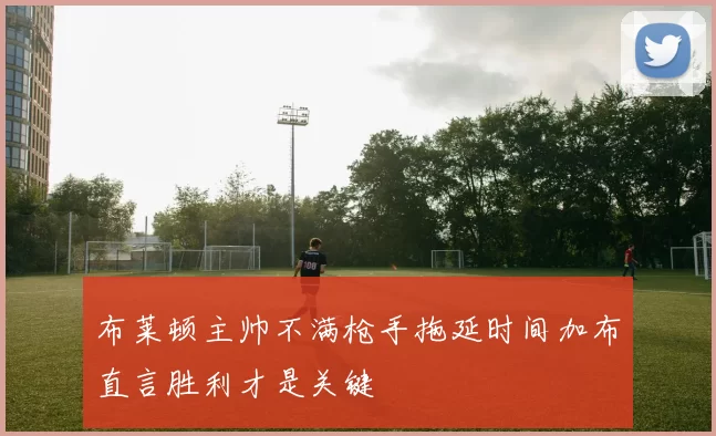 布莱顿主帅不满枪手拖延时间加布直言胜利才是关键